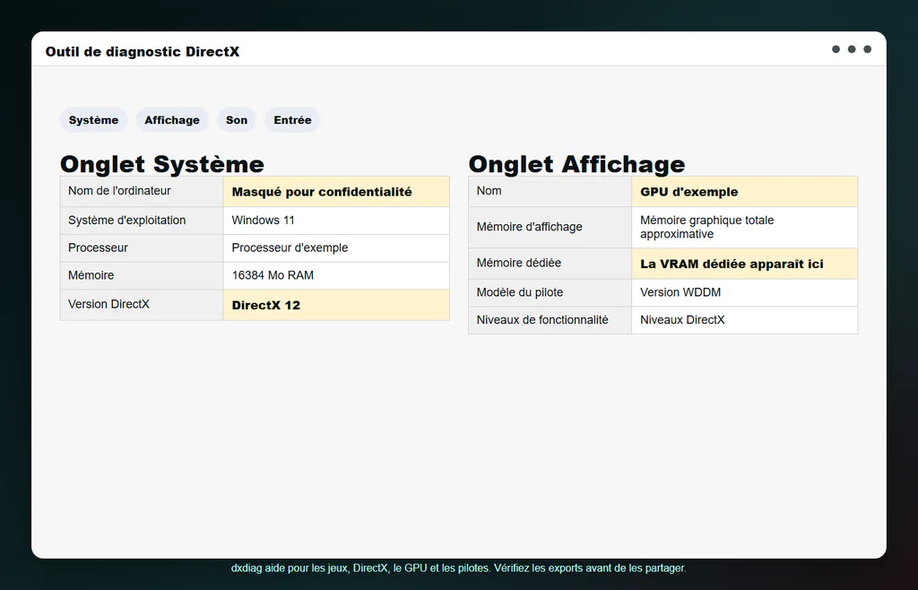 Exemple nettoyé de l'outil de diagnostic DirectX montrant les informations Système et Affichage pour la version DirectX, le GPU et la mémoire dédiée.